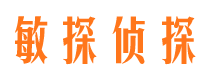 兴县侦探调查公司